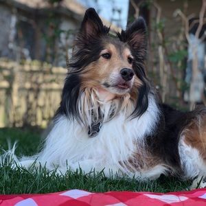 Meet your Posher, Jackie